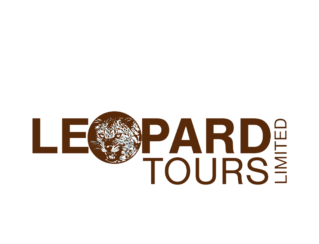 leopard-lg